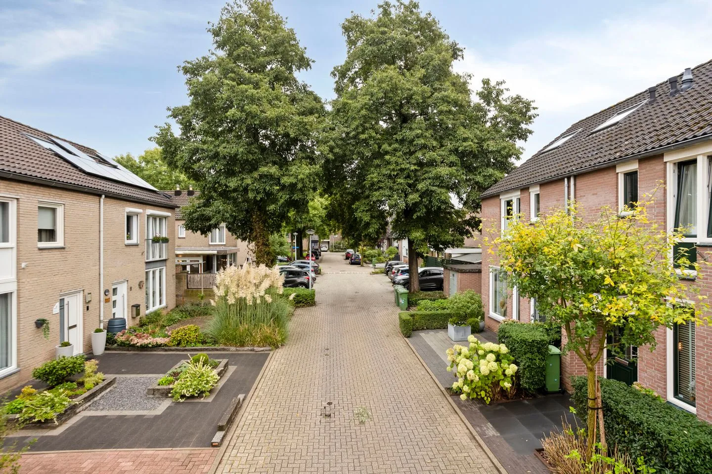 Papaverweerd 7 Maastricht thumbnail 55