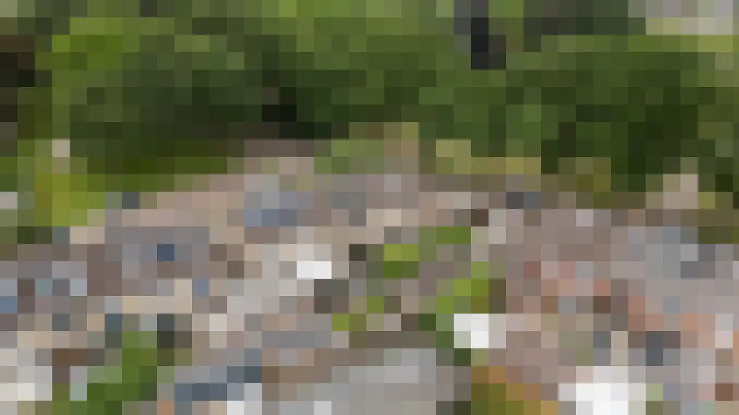 Papaverweg 118 Zwolle thumbnail 33