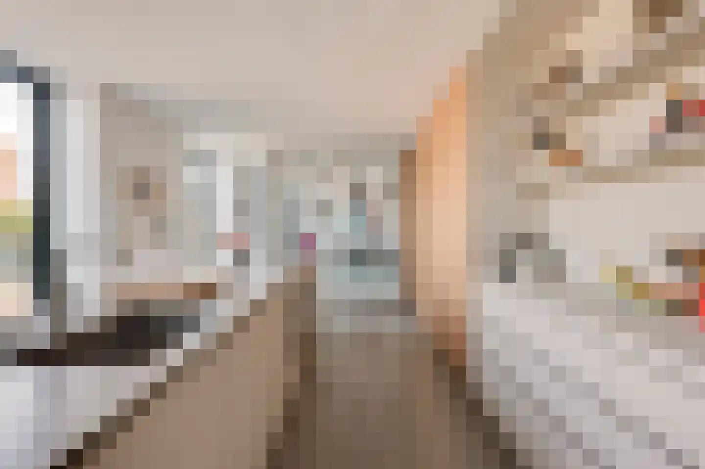 Papaverweg 129 Amsterdam thumbnail 22