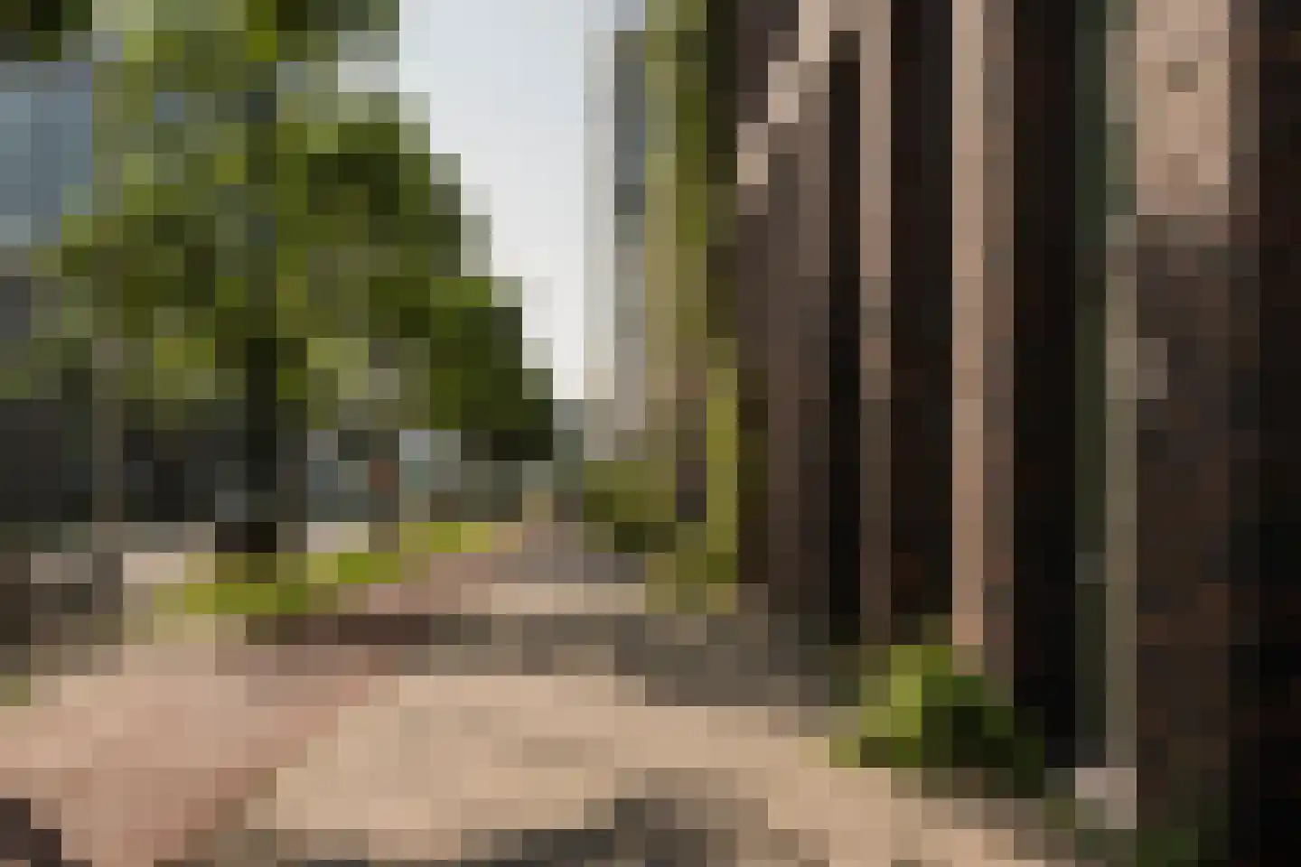 Papaverweg 129 Amsterdam thumbnail 44