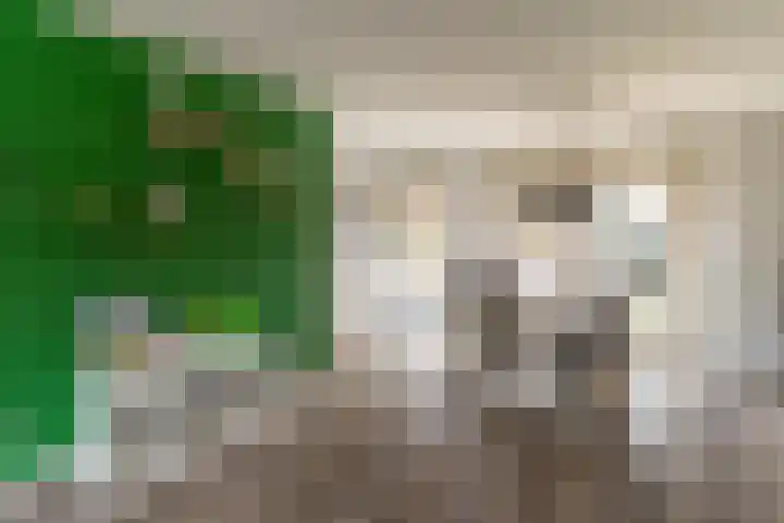 Papaverweg 26 Nunspeet thumbnail 13