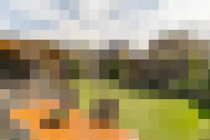 Papaverweg 26 Nunspeet thumbnail 36