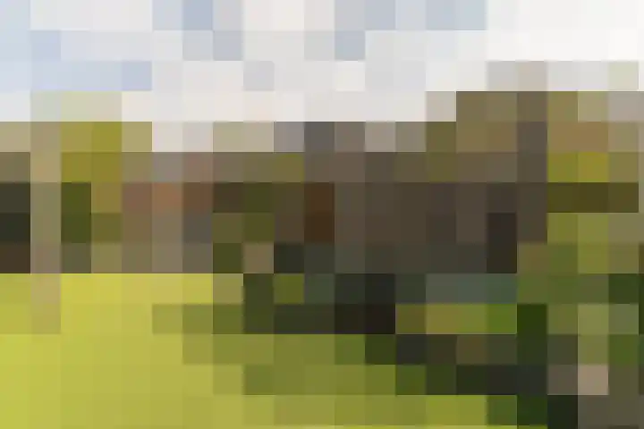 Papaverweg 26 Nunspeet thumbnail 37