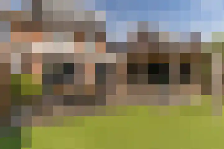 Papaverweg 26 Nunspeet thumbnail 38