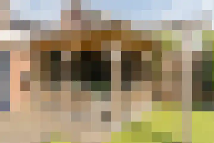 Papaverweg 26 Nunspeet thumbnail 39