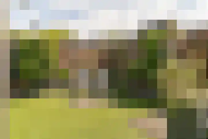 Papaverweg 26 Nunspeet thumbnail 42