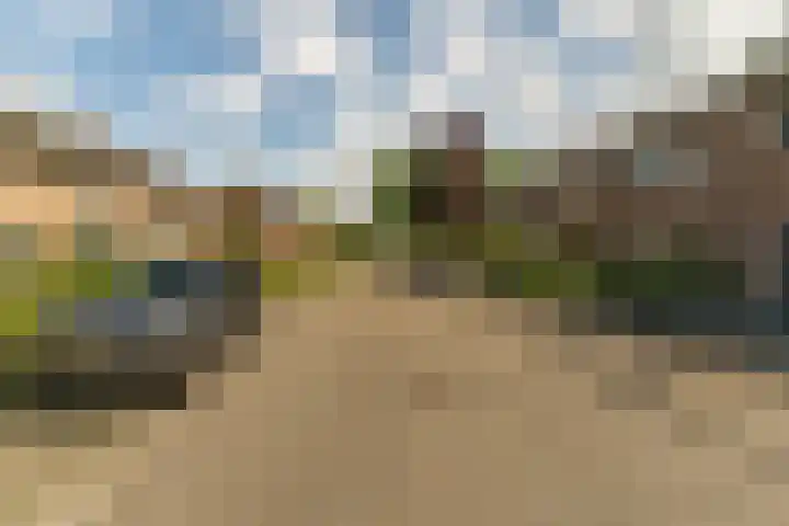Papaverweg 26 Nunspeet thumbnail 44