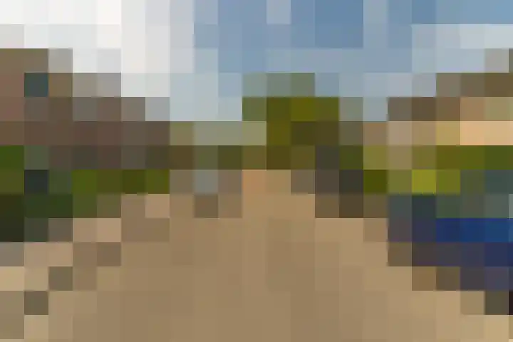 Papaverweg 26 Nunspeet thumbnail 45