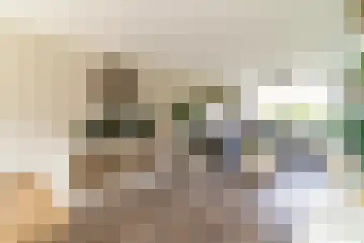 Papaverweg 26 Nunspeet thumbnail 8
