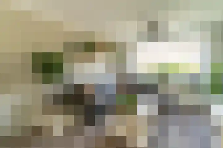 Papaverweg 26 Nunspeet thumbnail 9