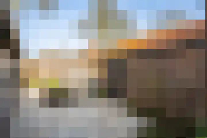 Papaverweg 35 Zwolle thumbnail 26