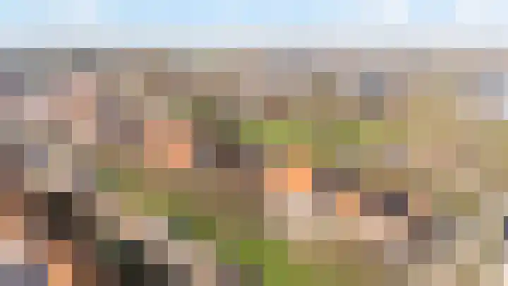 Papaverweg 35 Zwolle thumbnail 30