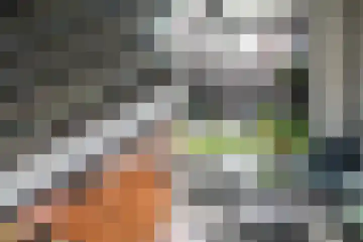 Papaverweg 35 Zwolle thumbnail 9