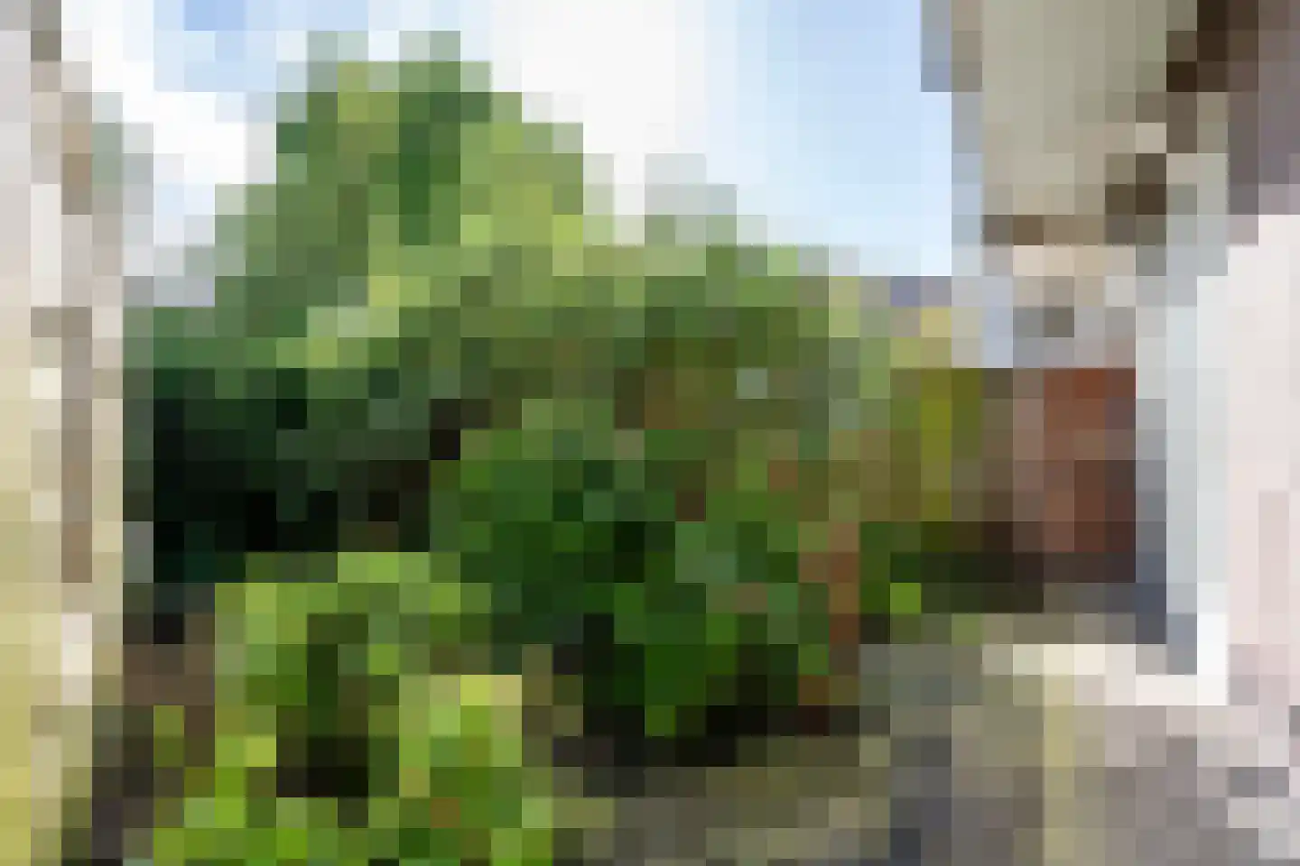 Papaverweg 4 1 Amsterdam thumbnail 7