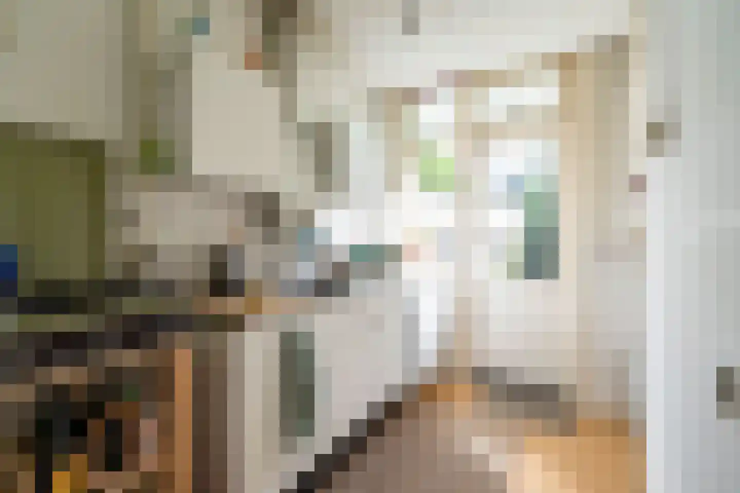 Papaverweg 4 H Amsterdam thumbnail 5