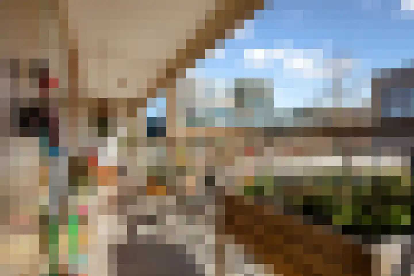 Papaverweg 47 Amsterdam thumbnail 28
