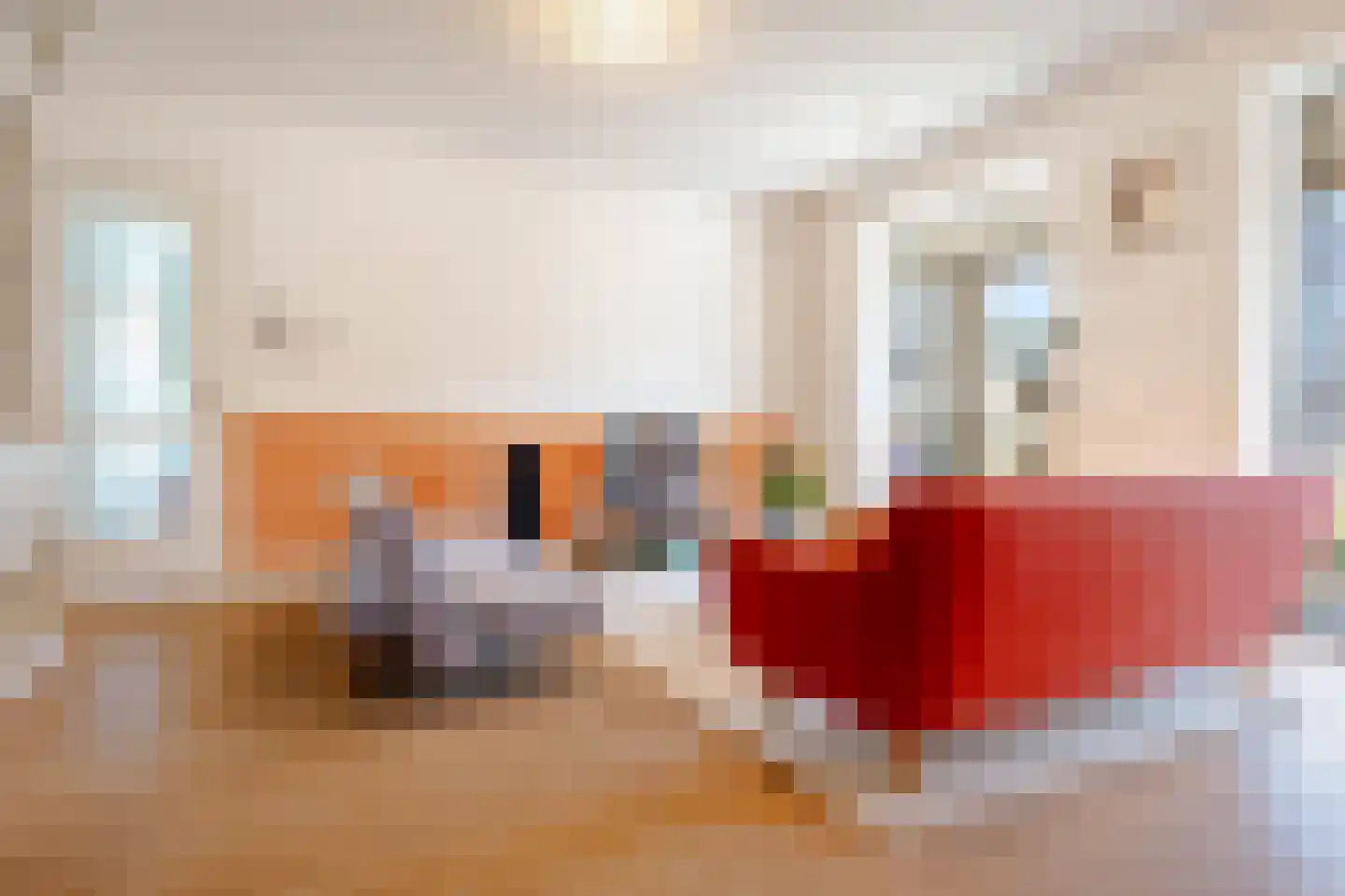 Papaverweg 47 Amsterdam thumbnail 5