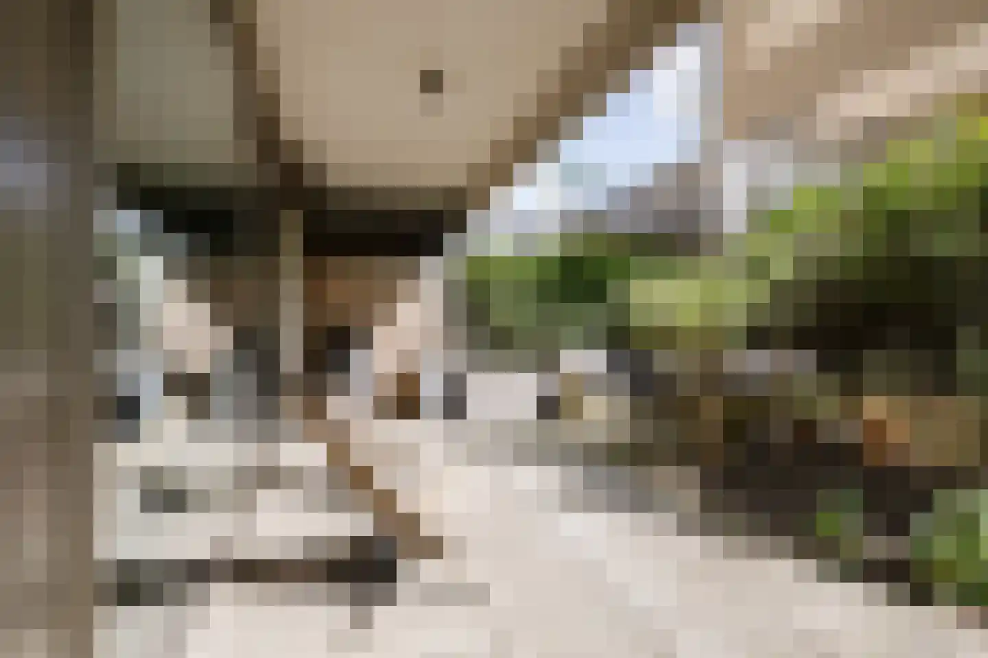 Papaverweg 49 Amsterdam thumbnail 33