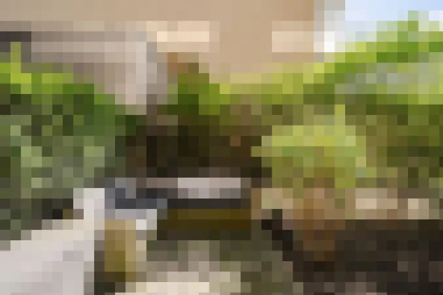 Papaverweg 49 Amsterdam thumbnail 34
