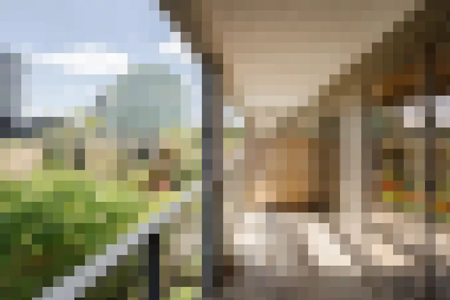 Papaverweg 49 Amsterdam thumbnail 5