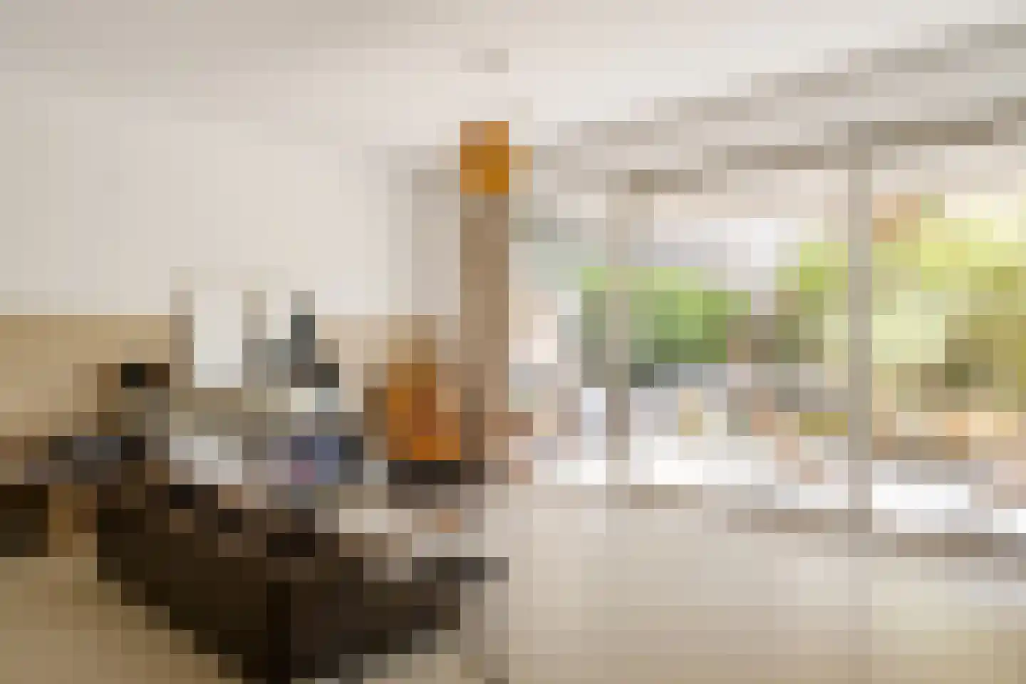 Papaverweg 49 Amsterdam thumbnail 6