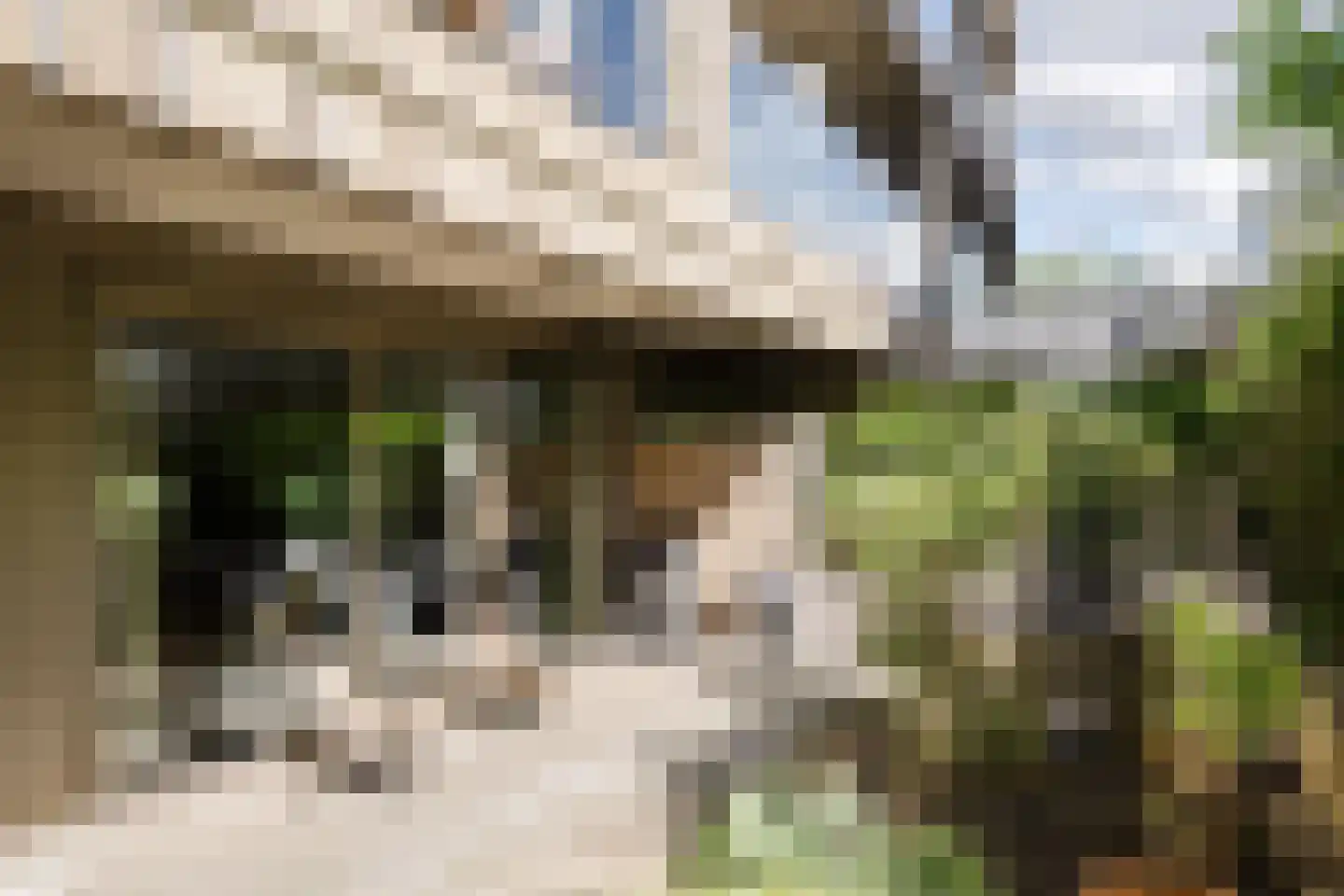 Papaverweg 49 Amsterdam thumbnail 9