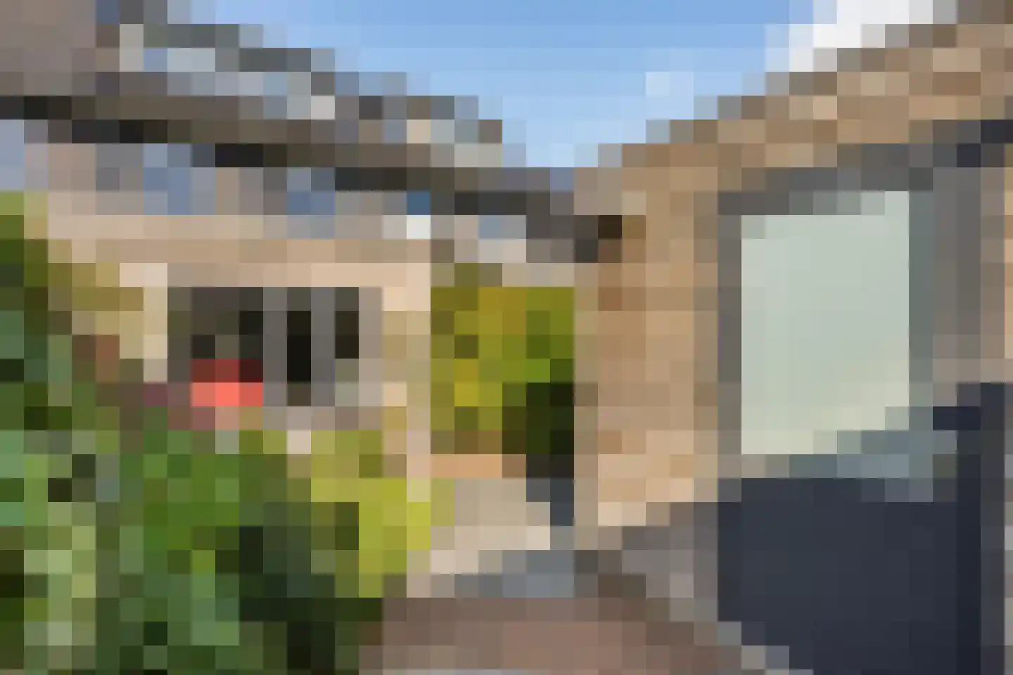 Papaverweg 61 5 Zwolle thumbnail 13