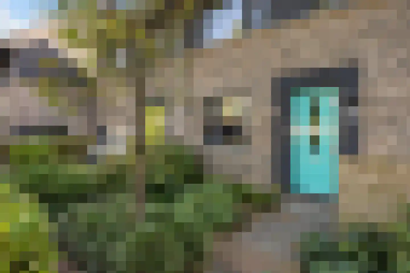 Papaverweg 61 5 Zwolle thumbnail 31