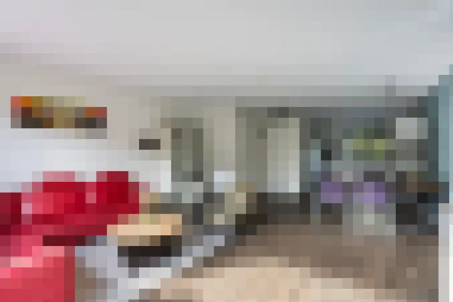 Papaverweg 61 5 Zwolle thumbnail 7