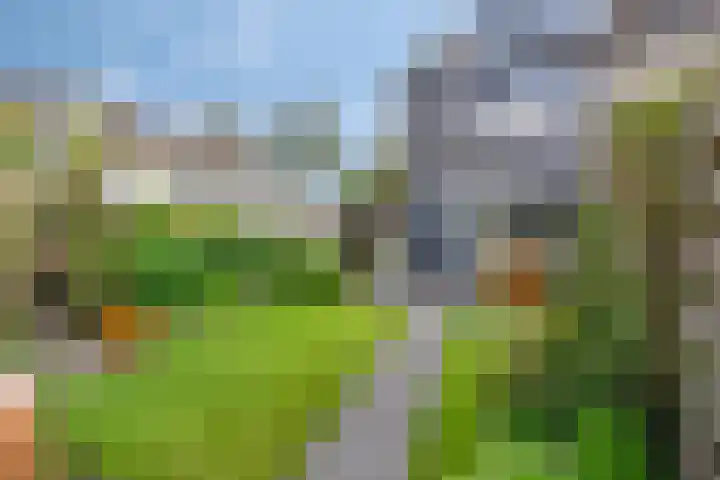 Papaverweg 70 Zwolle thumbnail 32