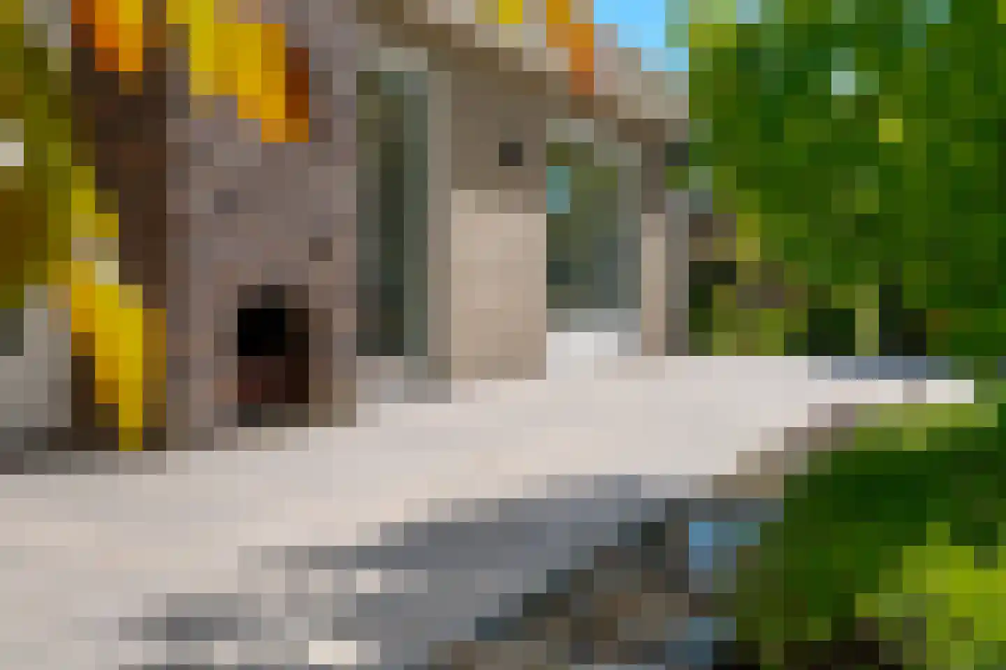 Papaverweg 77 Zwolle thumbnail 33