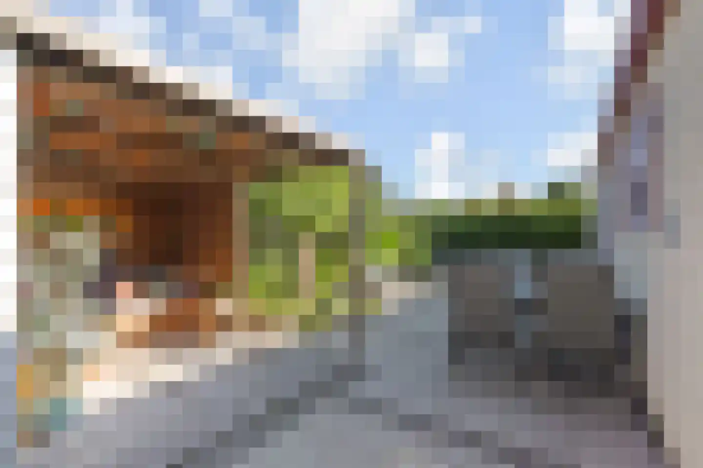 Papedijk 8 13 's-Gravenzande thumbnail 21