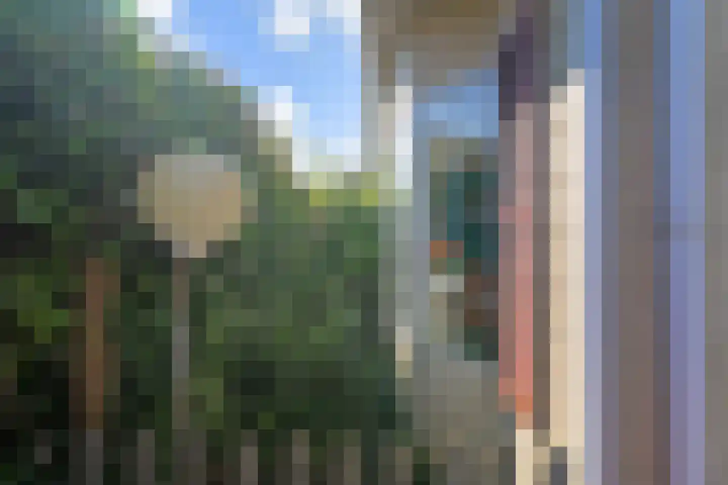 Papedijk 8 13 's-Gravenzande thumbnail 24