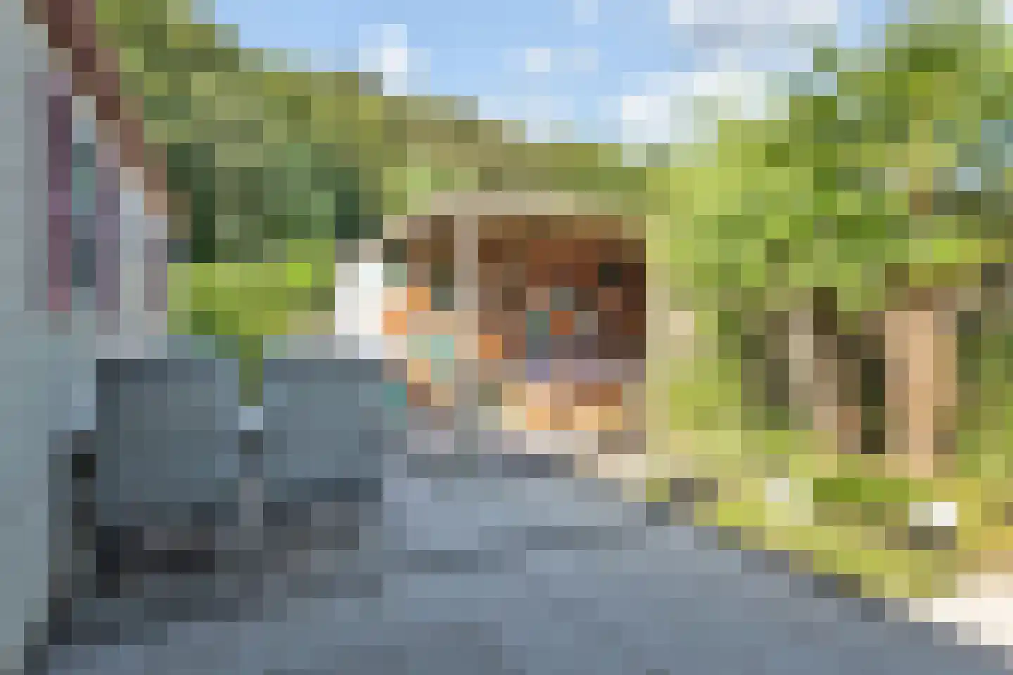 Papedijk 8 13 's-Gravenzande thumbnail 27