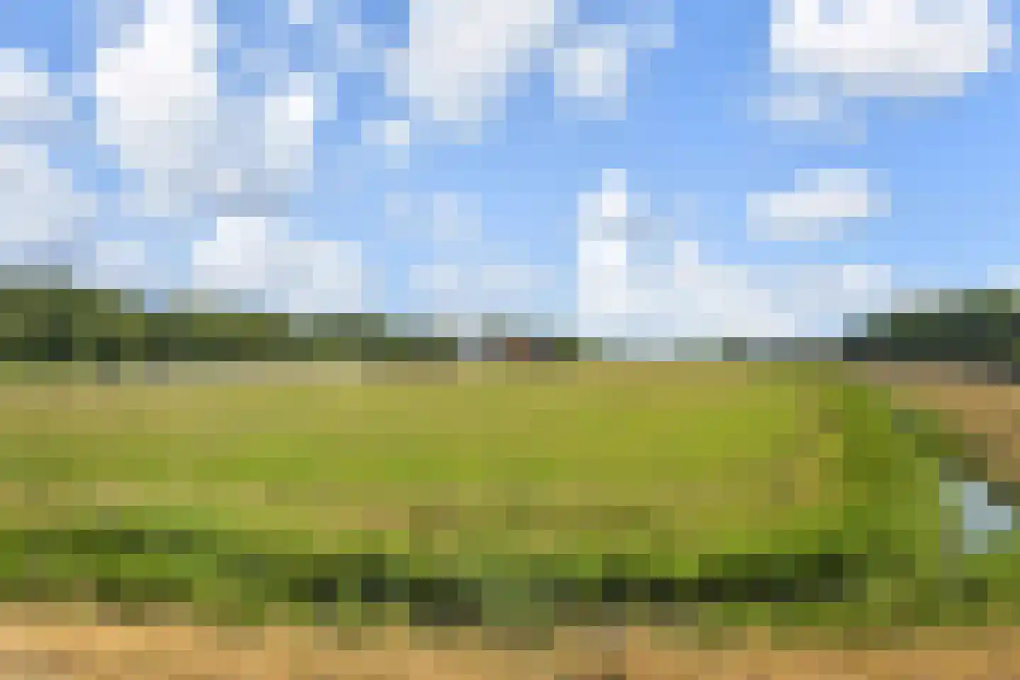 Papedijk 8 13 's-Gravenzande thumbnail 35