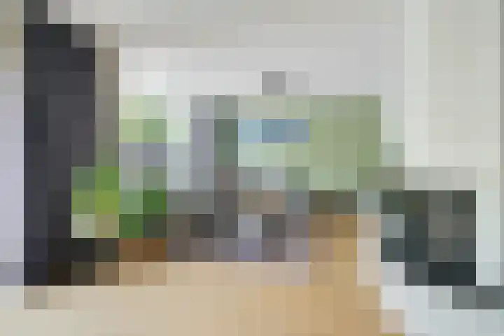 Papegaai 33 Breda thumbnail 10