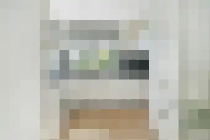 Papegaai 33 Breda thumbnail 11
