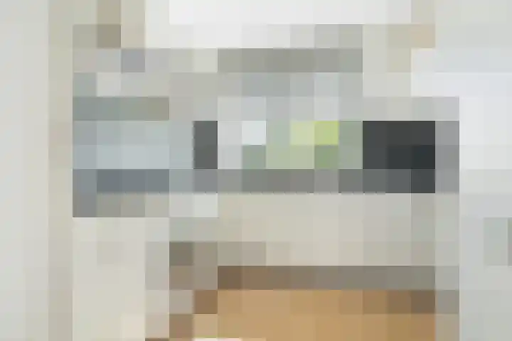Papegaai 33 Breda thumbnail 12