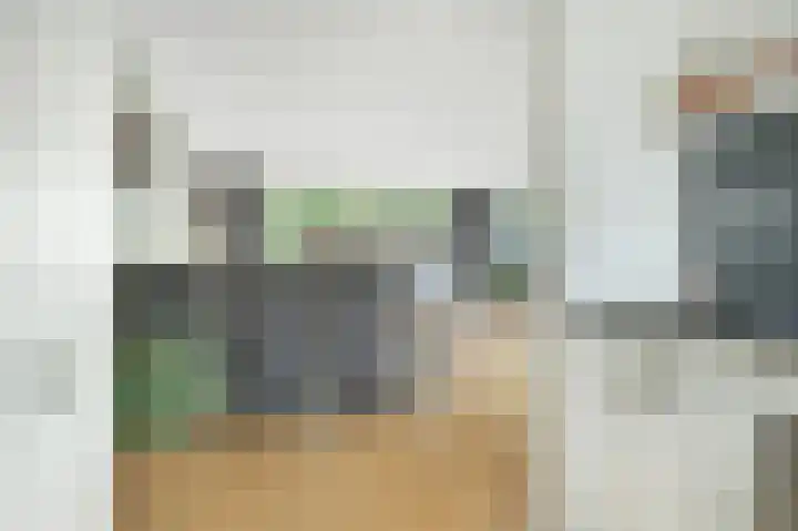 Papegaai 33 Breda thumbnail 13
