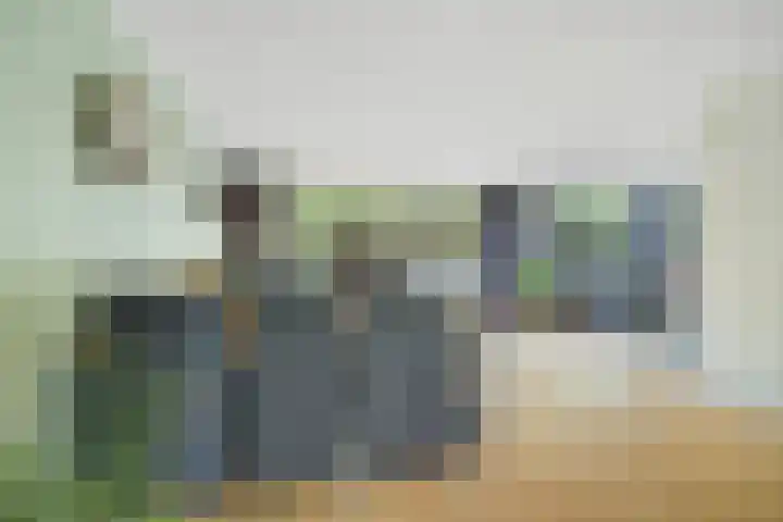 Papegaai 33 Breda thumbnail 14