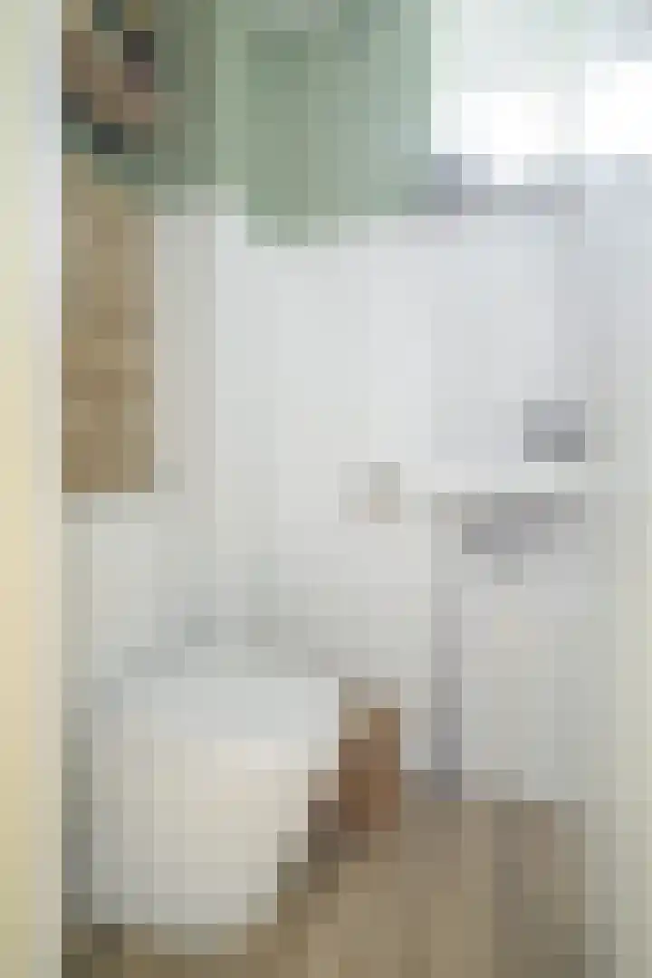 Papegaai 33 Breda thumbnail 15
