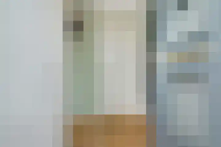 Papegaai 33 Breda thumbnail 16