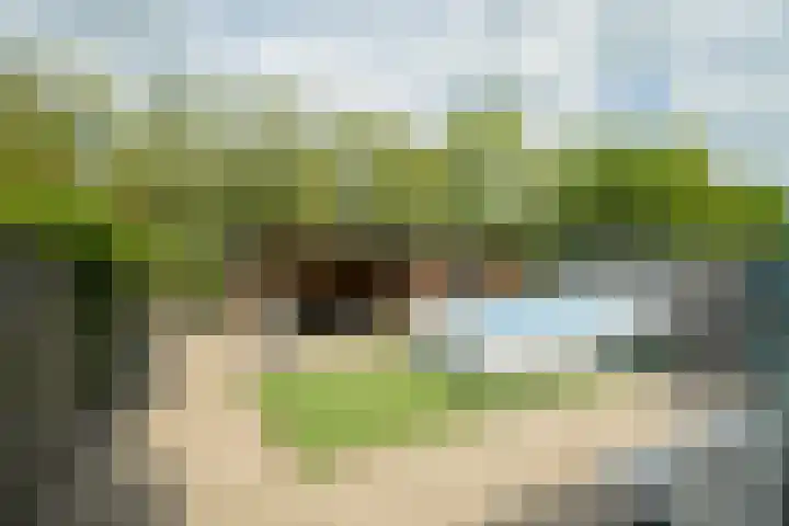 Papegaai 33 Breda thumbnail 18