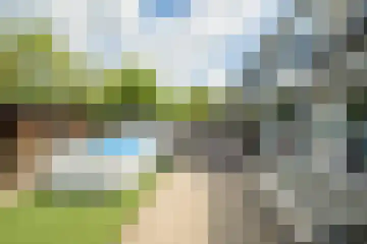 Papegaai 33 Breda thumbnail 19