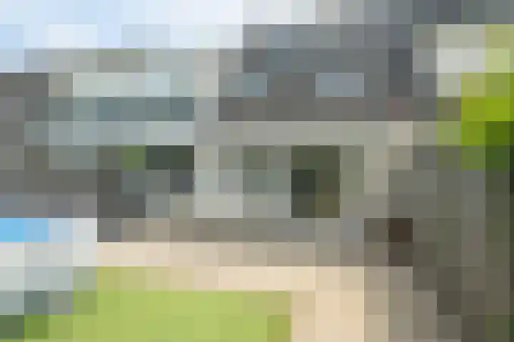 Papegaai 33 Breda thumbnail 20