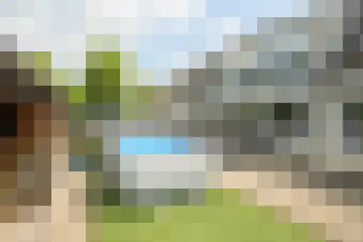 Papegaai 33 Breda thumbnail 24