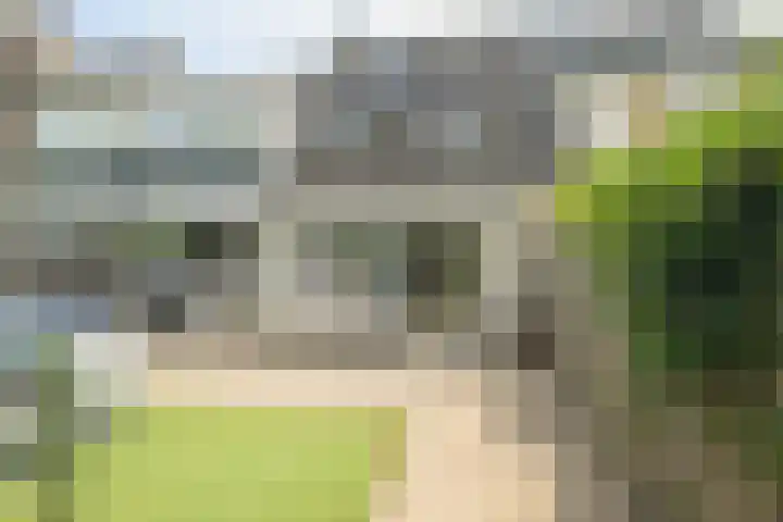 Papegaai 33 Breda thumbnail 26