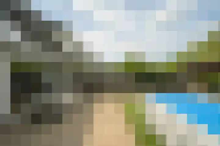 Papegaai 33 Breda thumbnail 27