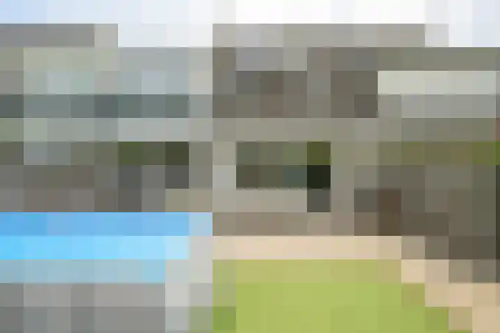 Papegaai 33 Breda thumbnail 31