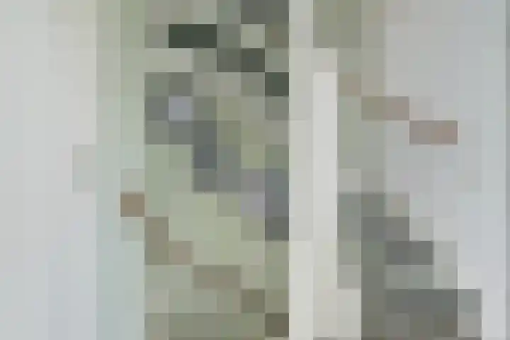 Papegaai 33 Breda thumbnail 32